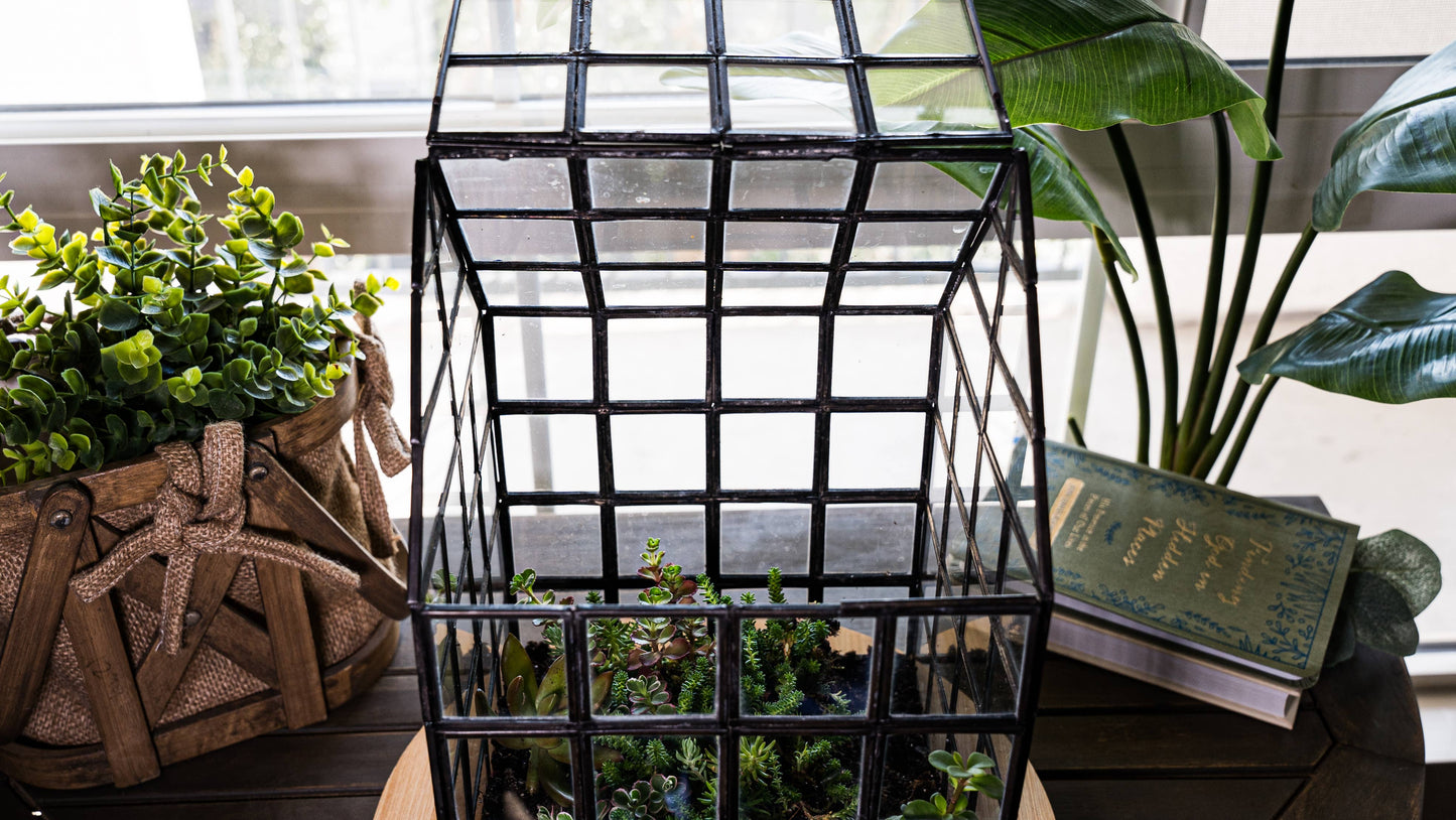 Urban Born Lattice House Terrarium, Glass+Steel, 8"x8"x12"