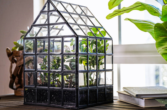 Urban Born Lattice House Terrarium, Glass+Steel, 8"x8"x12"